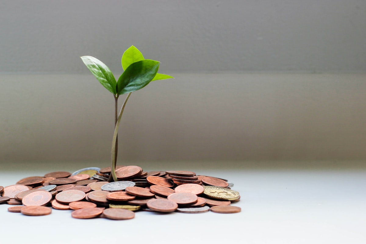 How Compound Interest Works — The Student’s Essential Guide to Growing Wealth